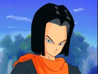 Android 17